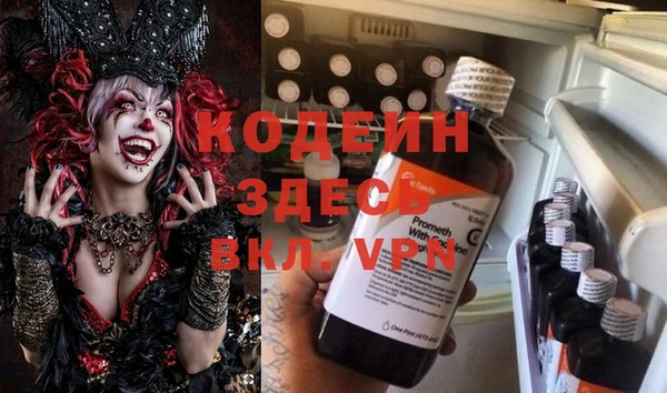 ГАЛЛЮЦИНОГЕННЫЕ ГРИБЫ Кукмор