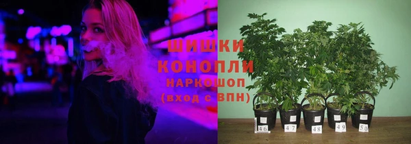 молекула духа Липки