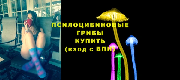 метадон Лагань