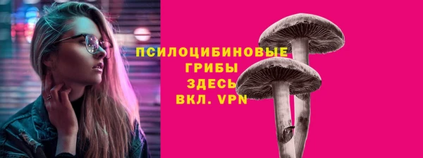 метадон Лагань
