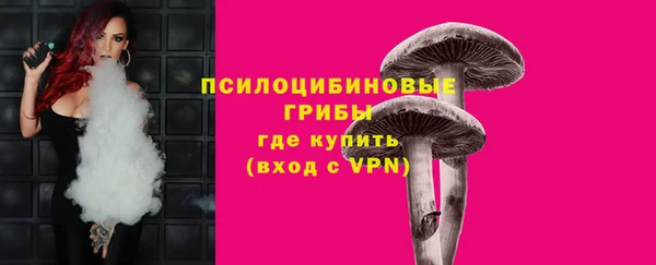 PSILOCYBIN Лабытнанги