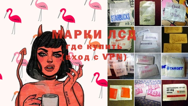 PSILOCYBIN Лабытнанги