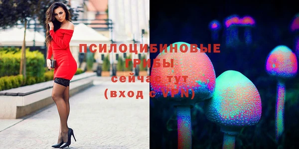 метадон Лагань
