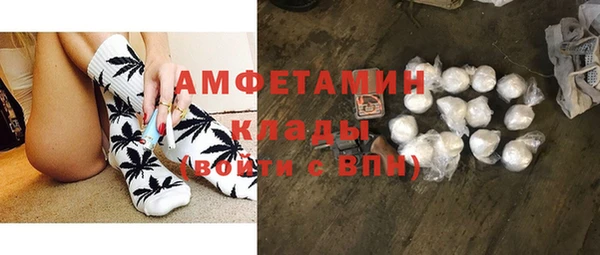 ГАЛЛЮЦИНОГЕННЫЕ ГРИБЫ Кукмор