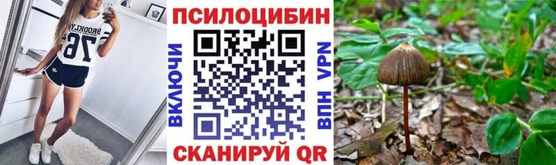 Галлюциногенные грибы мицелий  Ленск 